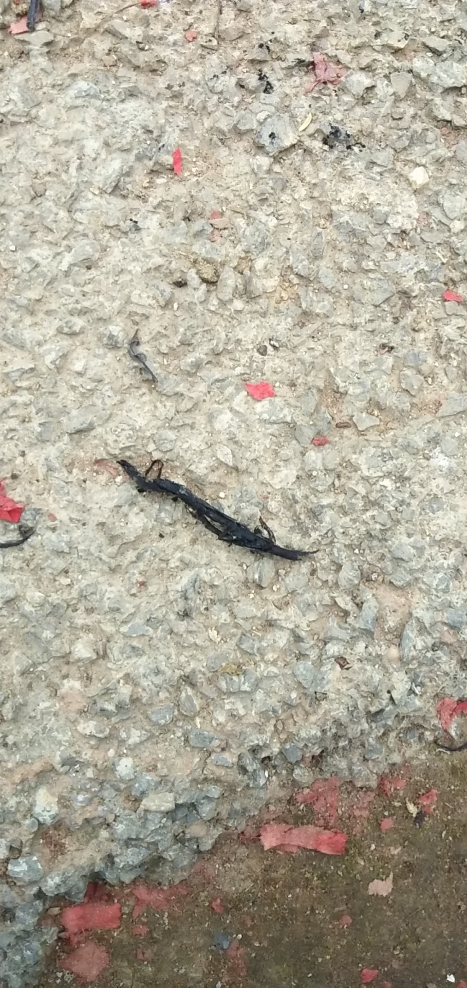 有地方起火了481 / 作者:一个人挺好 / 帖子ID:270421