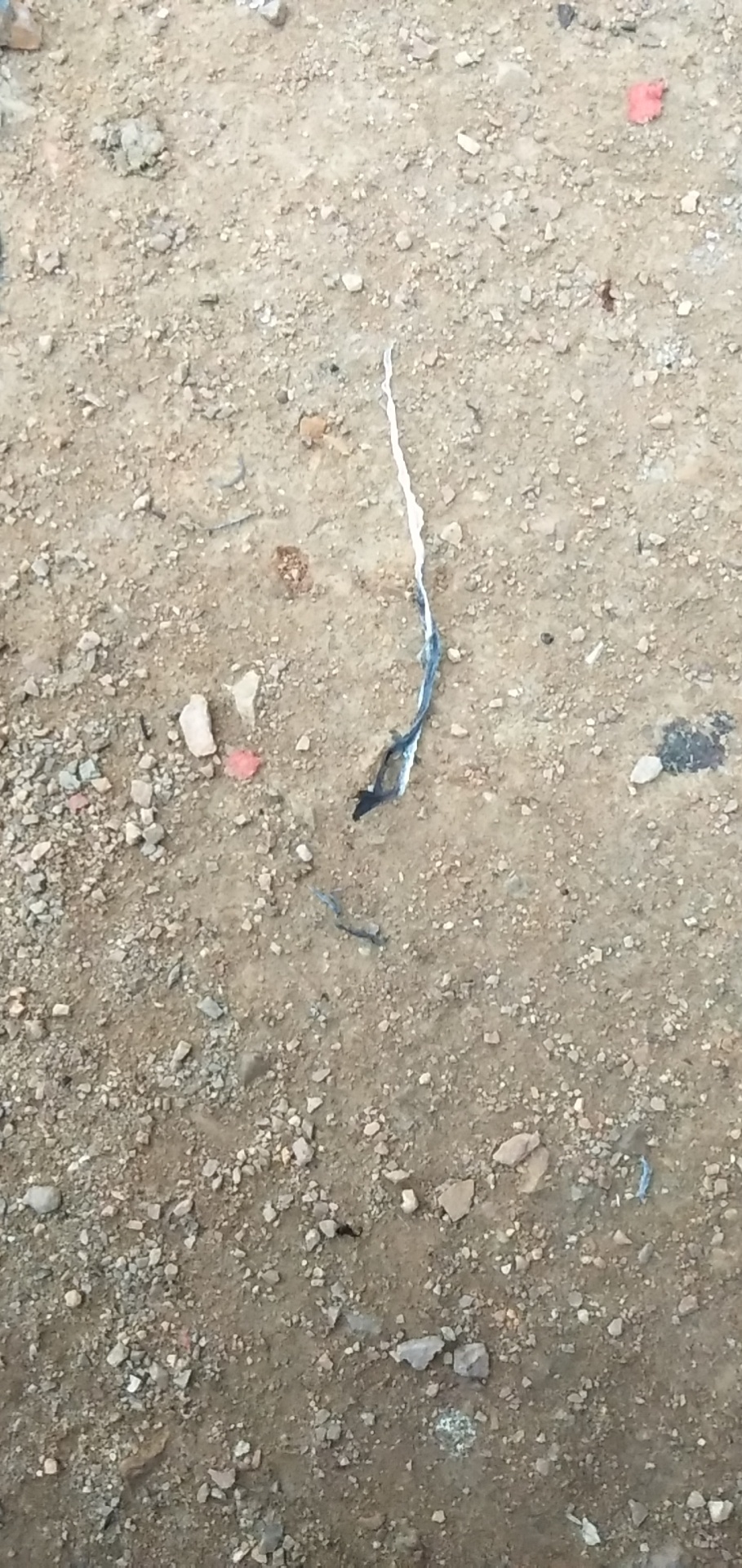 有地方起火了772 / 作者:一个人挺好 / 帖子ID:270421