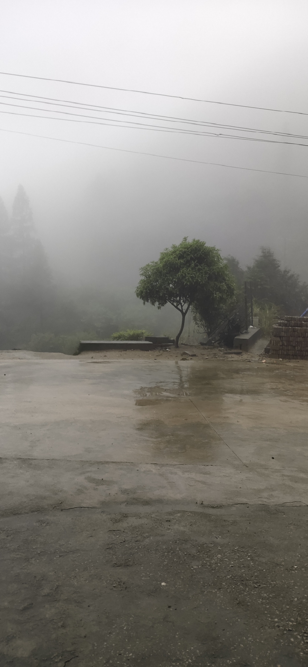 多场暴雨后，兰洞水库水位终有上涨548 / 作者:瑤人老李 / 帖子ID:271117
