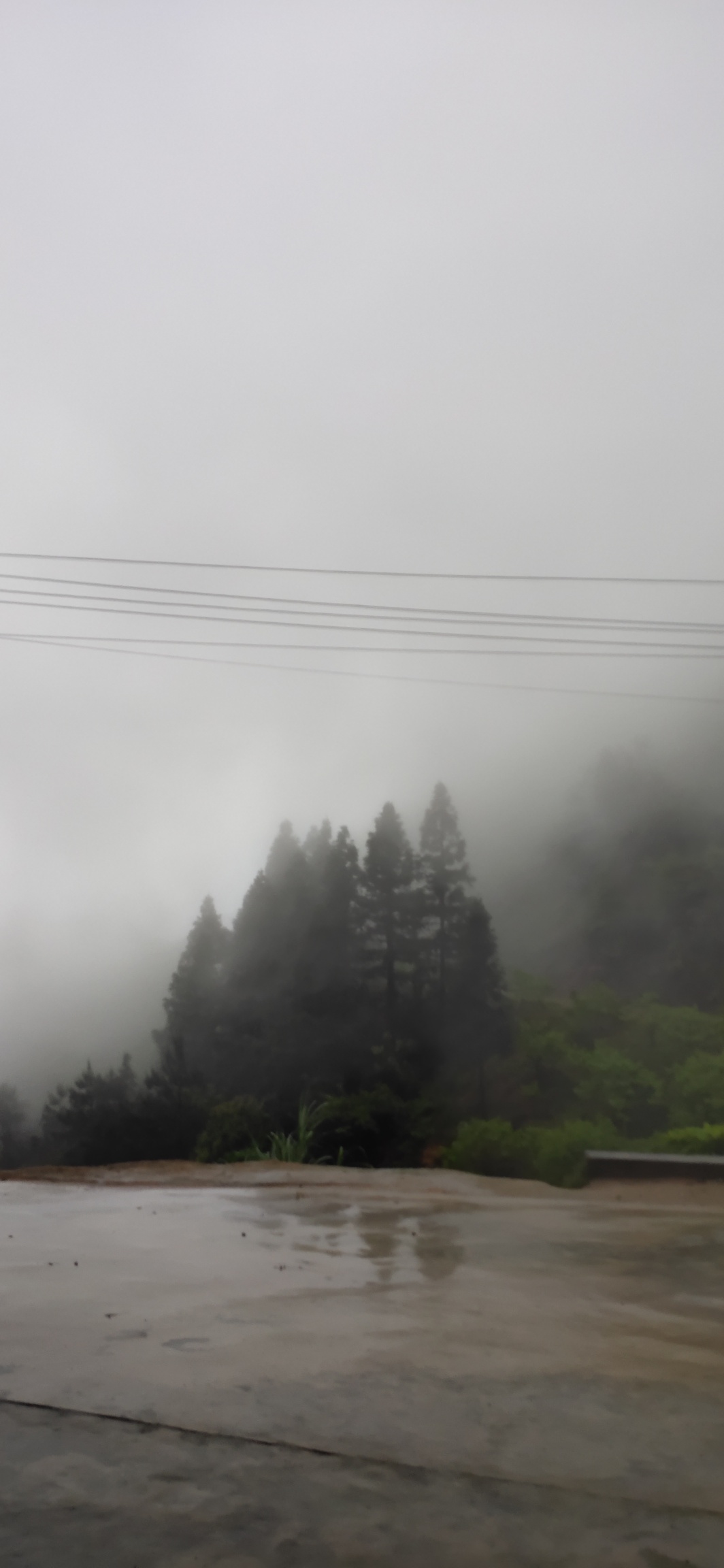 多场暴雨后，兰洞水库水位终有上涨28 / 作者:瑤人老李 / 帖子ID:271117