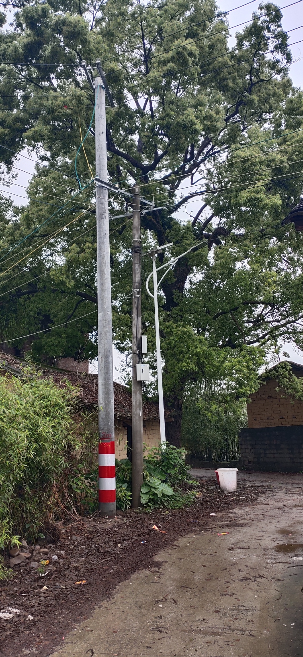 古樟、古宅，嘉会蟠龙村显居住历史128 / 作者:瑤人老李 / 帖子ID:271137