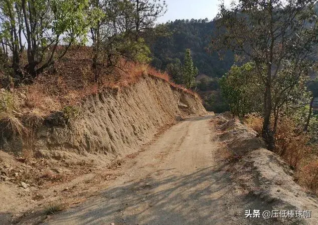 对比一下，我们这里的政府和干部好多了！959 / 作者:黑山老妖 / 帖子ID:271250