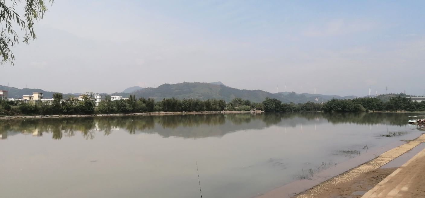 雨后茶江景115 / 作者:悠闲 / 帖子ID:271331