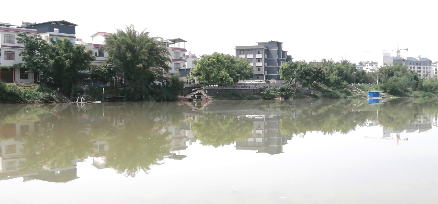 雨后茶江景619 / 作者:悠闲 / 帖子ID:271331