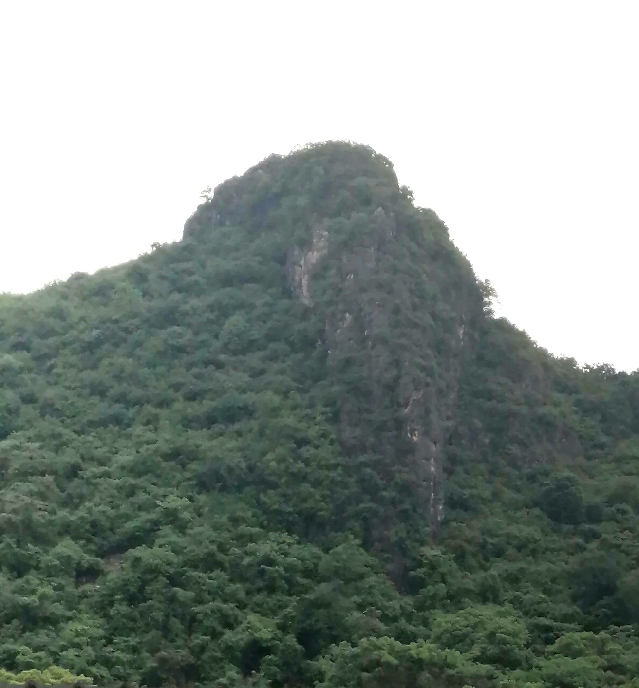 雨后茶江景555 / 作者:悠闲 / 帖子ID:271331