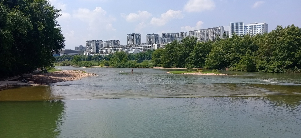 茶江美景糸列（第12组）：879 / 作者:陈爱国 / 帖子ID:271514