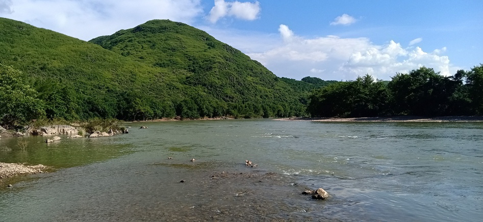 茶江美景糸列（第12组）：243 / 作者:陈爱国 / 帖子ID:271514