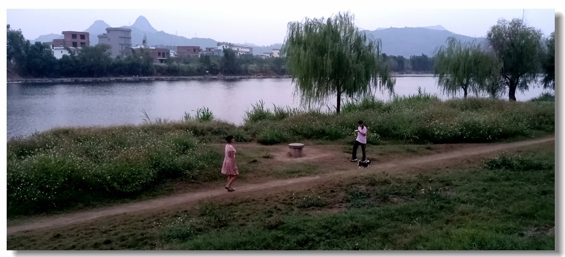 茶江美景糸列（第18组）：593 / 作者:陈爱国 / 帖子ID:271642