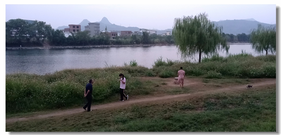 茶江美景糸列（第18组）：620 / 作者:陈爱国 / 帖子ID:271642