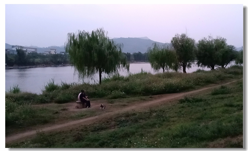 茶江美景糸列（第18组）：552 / 作者:陈爱国 / 帖子ID:271642