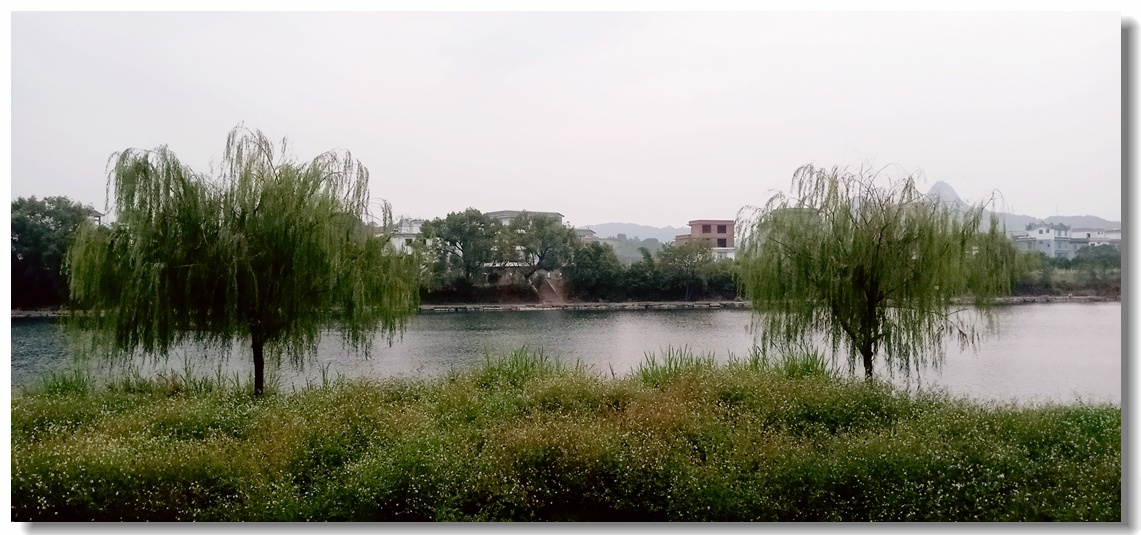 茶江美景糸列（第18组）：456 / 作者:陈爱国 / 帖子ID:271642