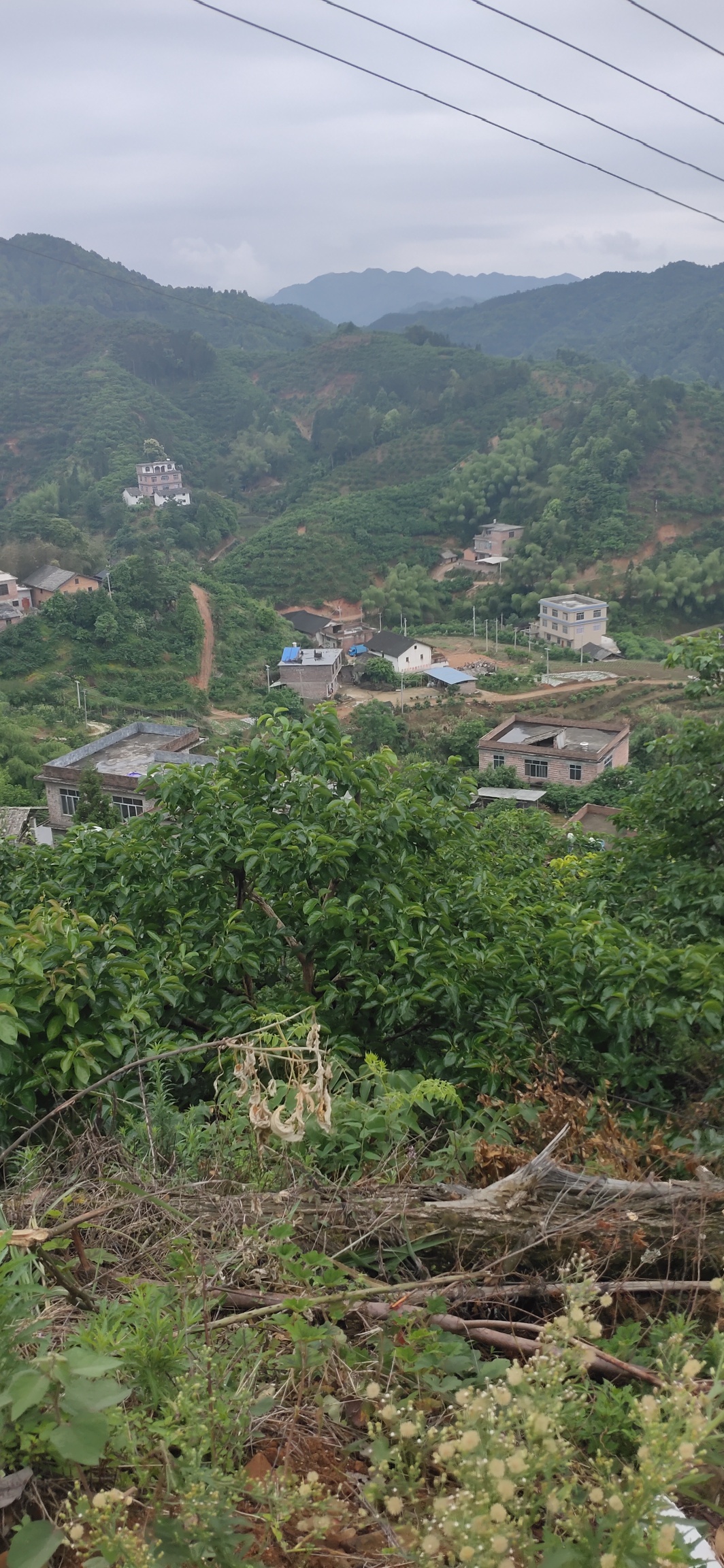 扶贫，使瑶山旮旯的村屯通上了水泥路217 / 作者:瑤人老李 / 帖子ID:271722