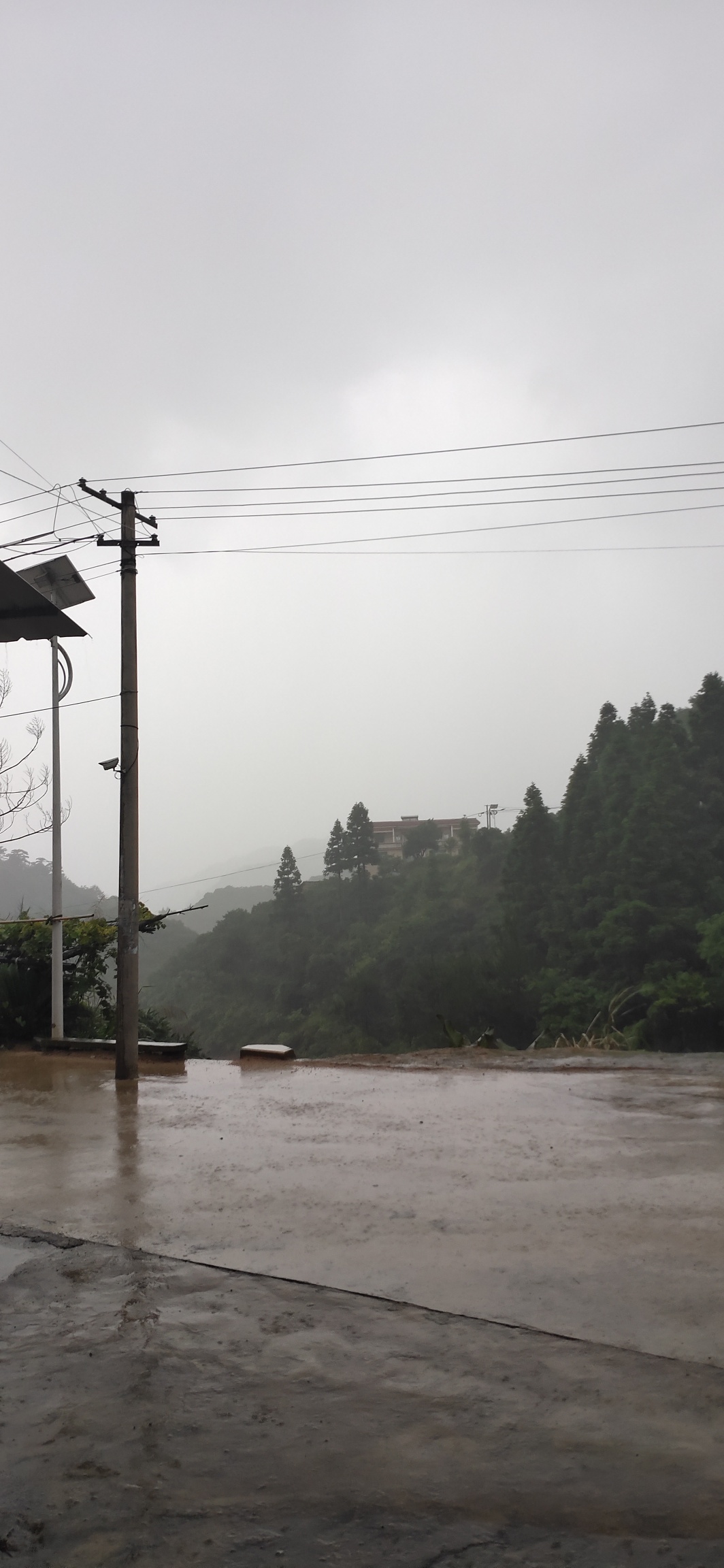 新一轮暴雨又至438 / 作者:瑤人老李 / 帖子ID:272663