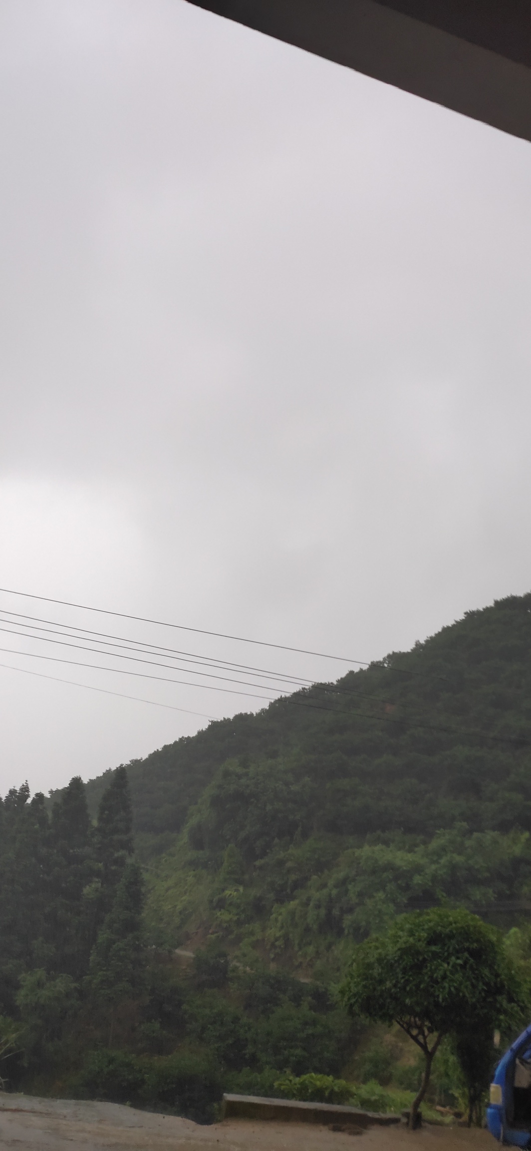 新一轮暴雨又至703 / 作者:瑤人老李 / 帖子ID:272663
