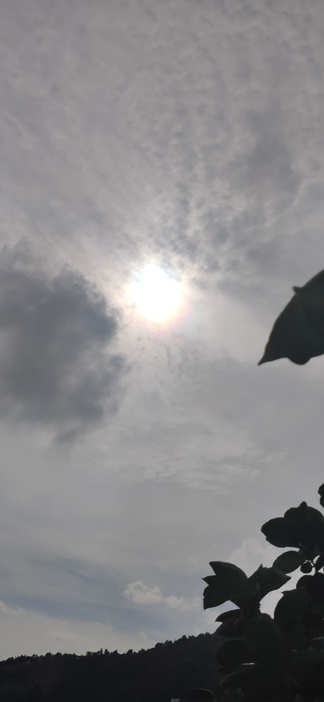 独特视角看天象837 / 作者:瑤人老李 / 帖子ID:273035