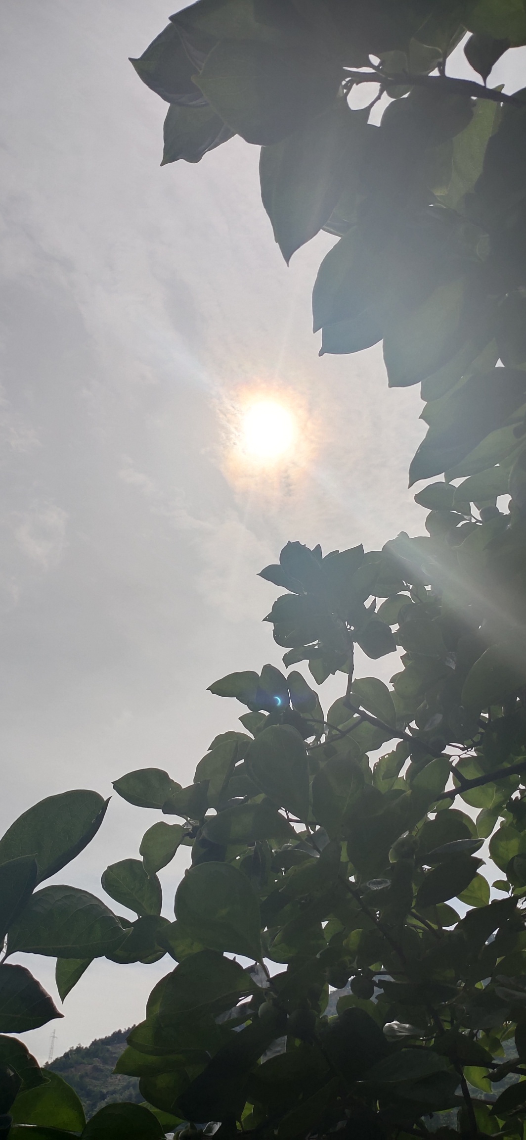 独特视角看天象417 / 作者:瑤人老李 / 帖子ID:273035