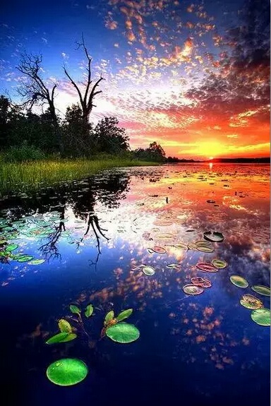 ——宁静致远，淡泊明志596 / 作者:力行者 / 帖子ID:273297