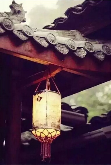 ——宁静致远，淡泊明志509 / 作者:力行者 / 帖子ID:273297