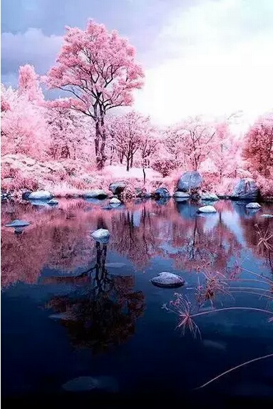 ——宁静致远，淡泊明志287 / 作者:力行者 / 帖子ID:273297