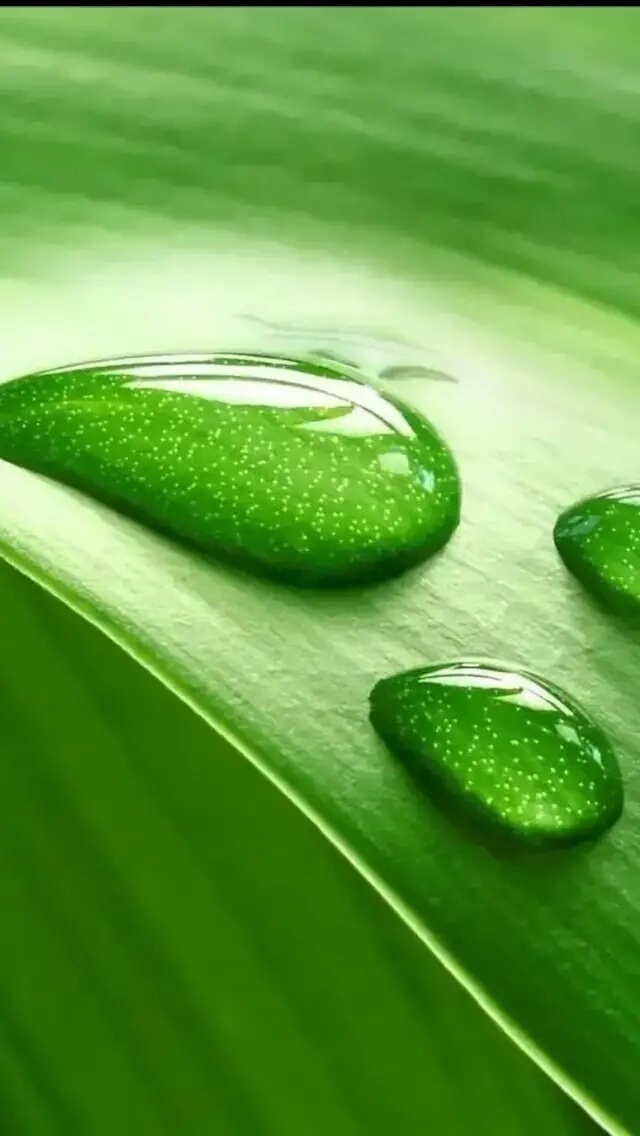 ——宁静致远，淡泊明志102 / 作者:力行者 / 帖子ID:273297