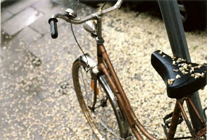 ——宁静致远，淡泊明志780 / 作者:力行者 / 帖子ID:273297