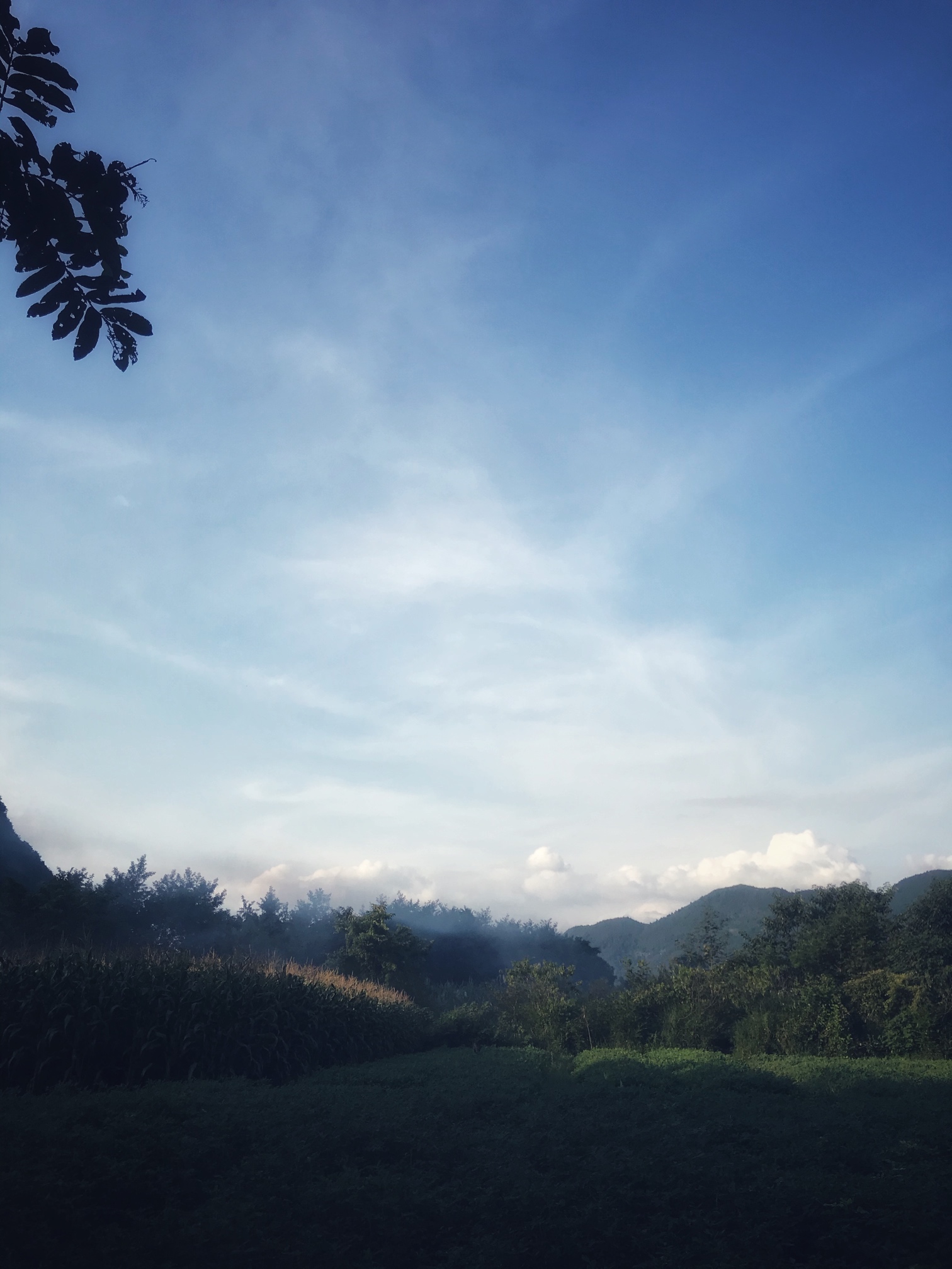 夏日的傍晚～674 / 作者:有钱哥哥 / 帖子ID:273421