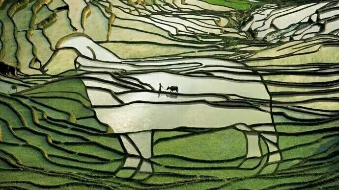 ——人生的位置834 / 作者:力行者 / 帖子ID:274217
