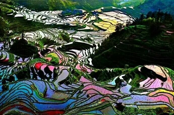 ——人生的位置215 / 作者:力行者 / 帖子ID:274217