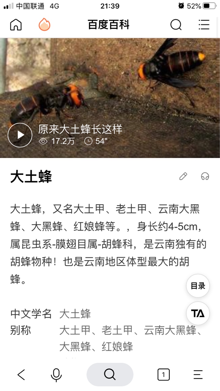 红娘蜂侵害蜜蜂711 / 作者:公路美学 / 帖子ID:274241