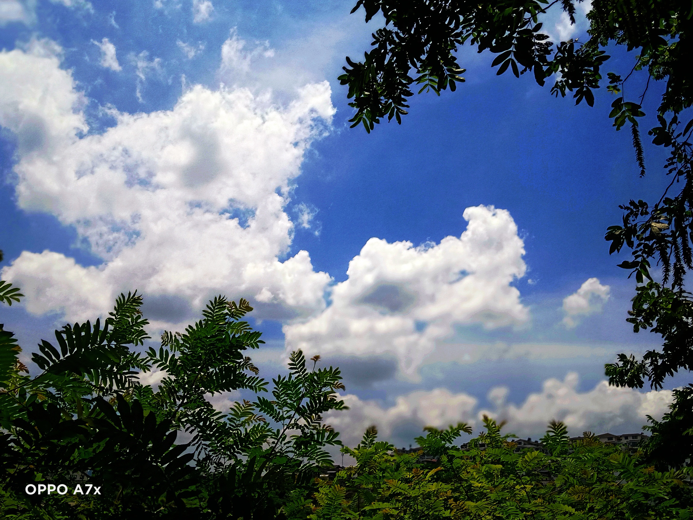 夏天856 / 作者:陈爱国 / 帖子ID:274334