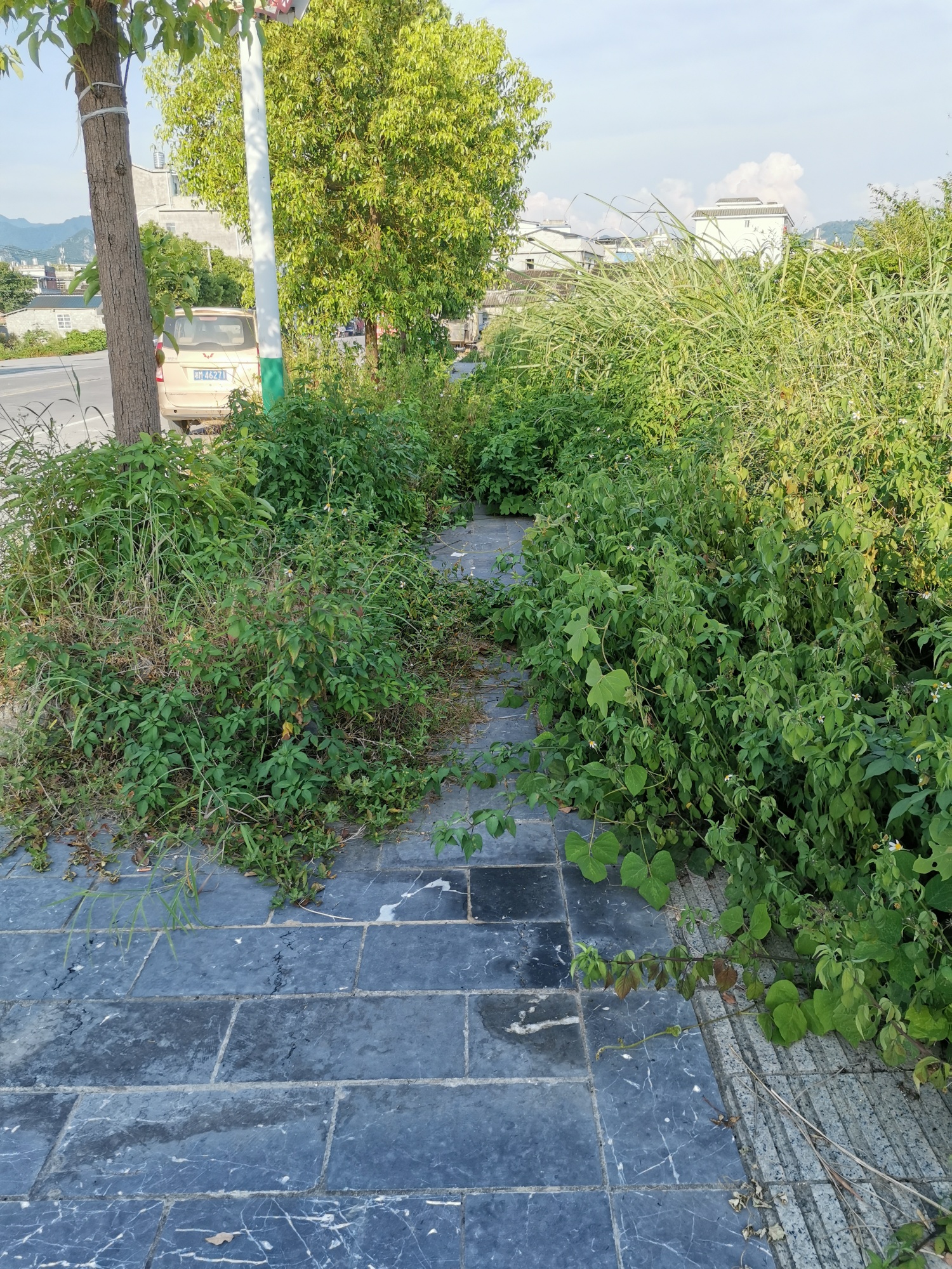 栗木街的人行道78 / 作者:栗木镇佳涛手机 / 帖子ID:274768