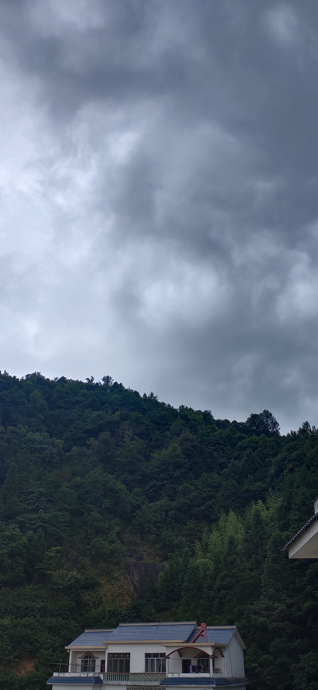 兰洞瑶山迎来夏末一场大雨532 / 作者:瑤人老李 / 帖子ID:274813