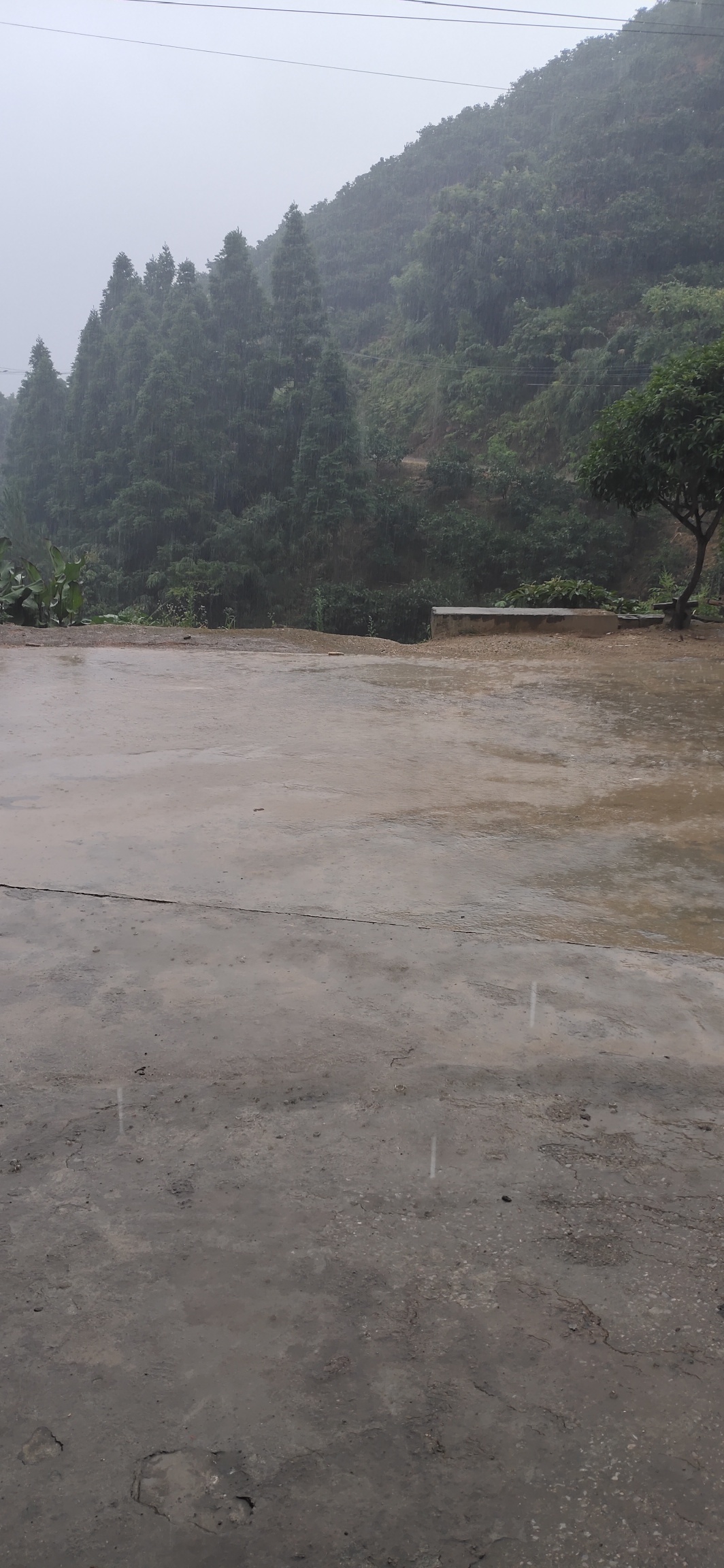 兰洞瑶山迎来夏末一场大雨130 / 作者:瑤人老李 / 帖子ID:274813