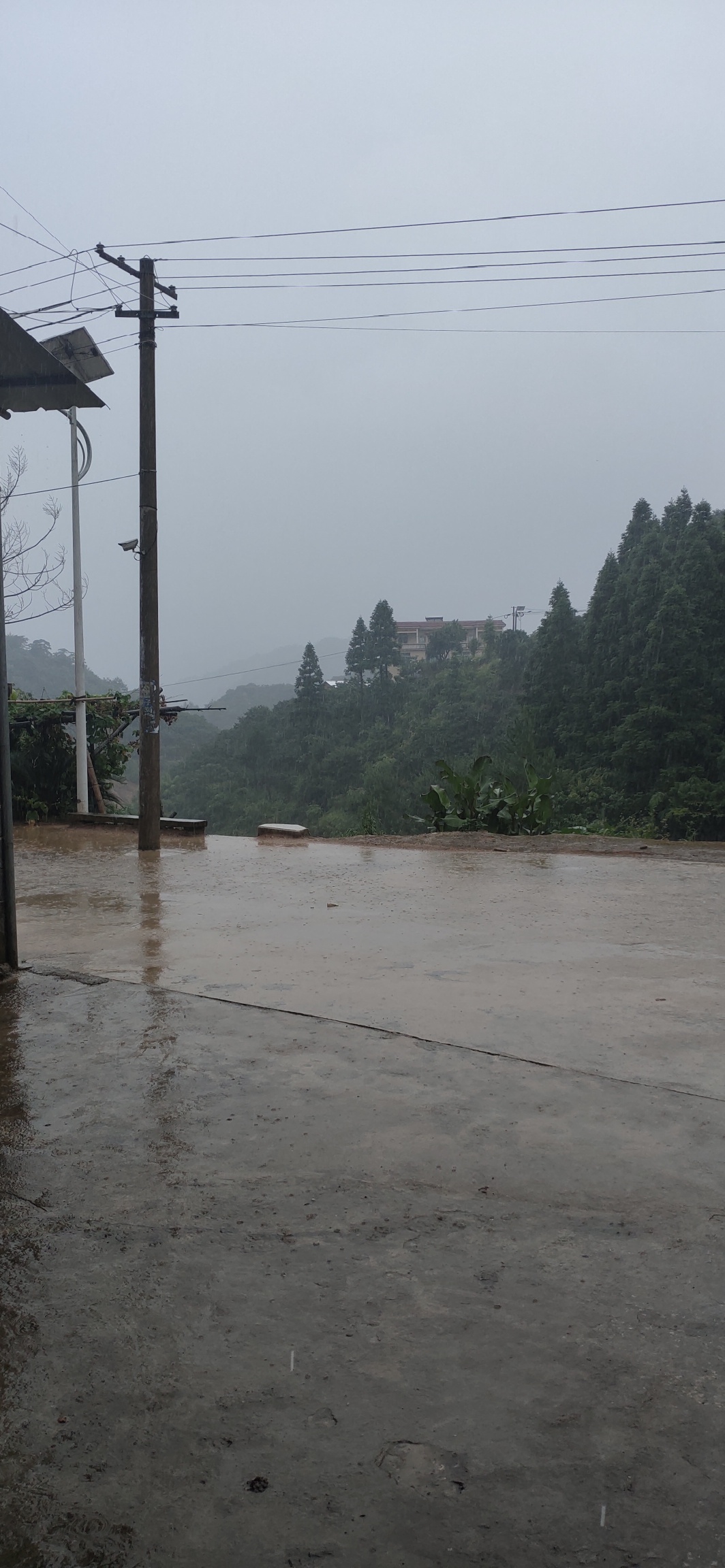 兰洞瑶山迎来夏末一场大雨981 / 作者:瑤人老李 / 帖子ID:274813