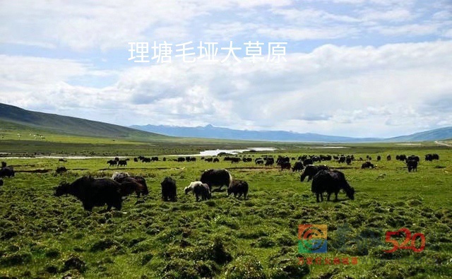 自驾318国道进西藏途中最惊心动魄的路段集锦329 / 作者:罗古 / 帖子ID:275190