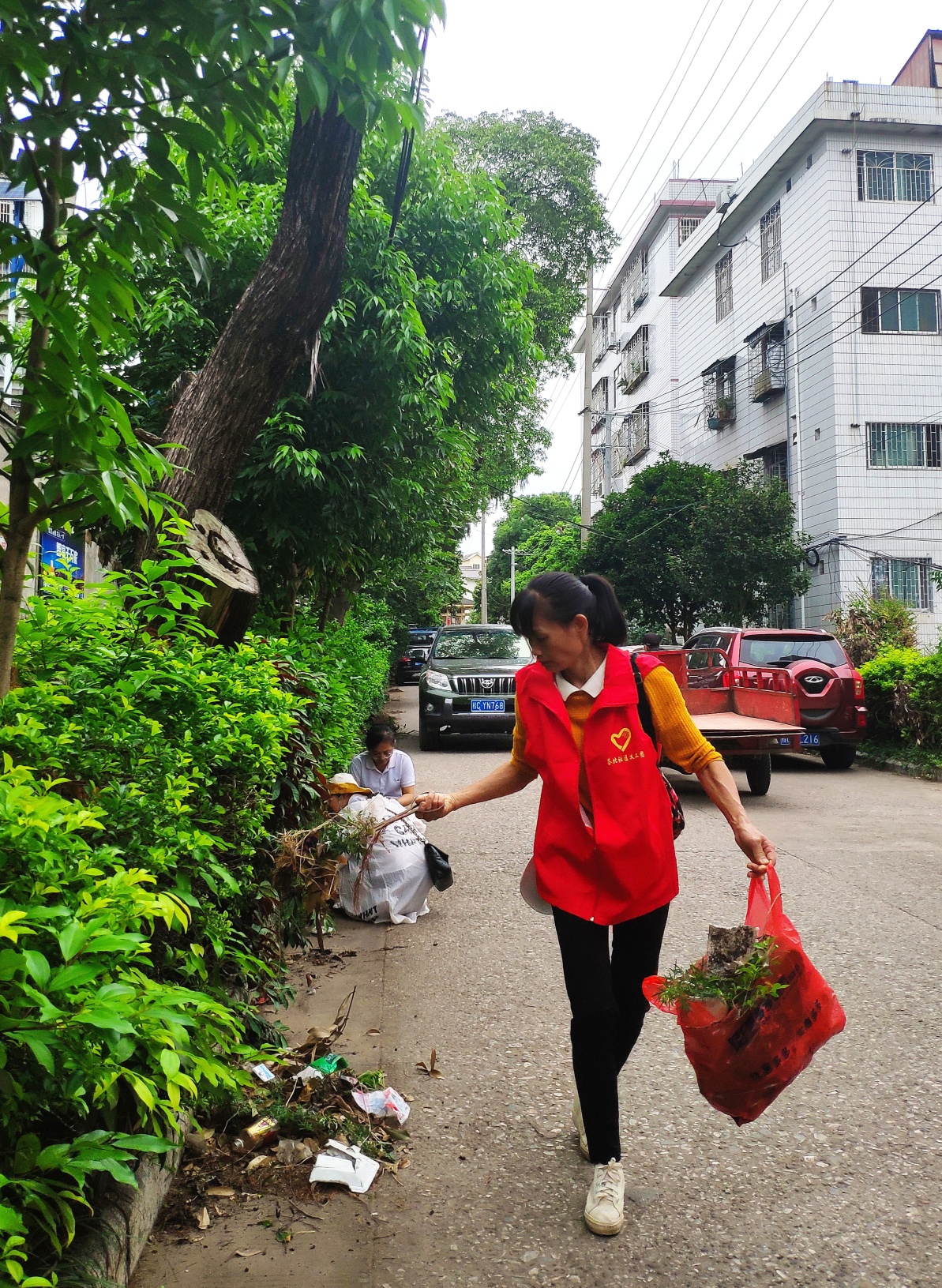 迎县庆三十周年——茶北社区党支部带领党员干部及义工义务劳动搞卫生984 / 作者:陈爱国 / 帖子ID:277127