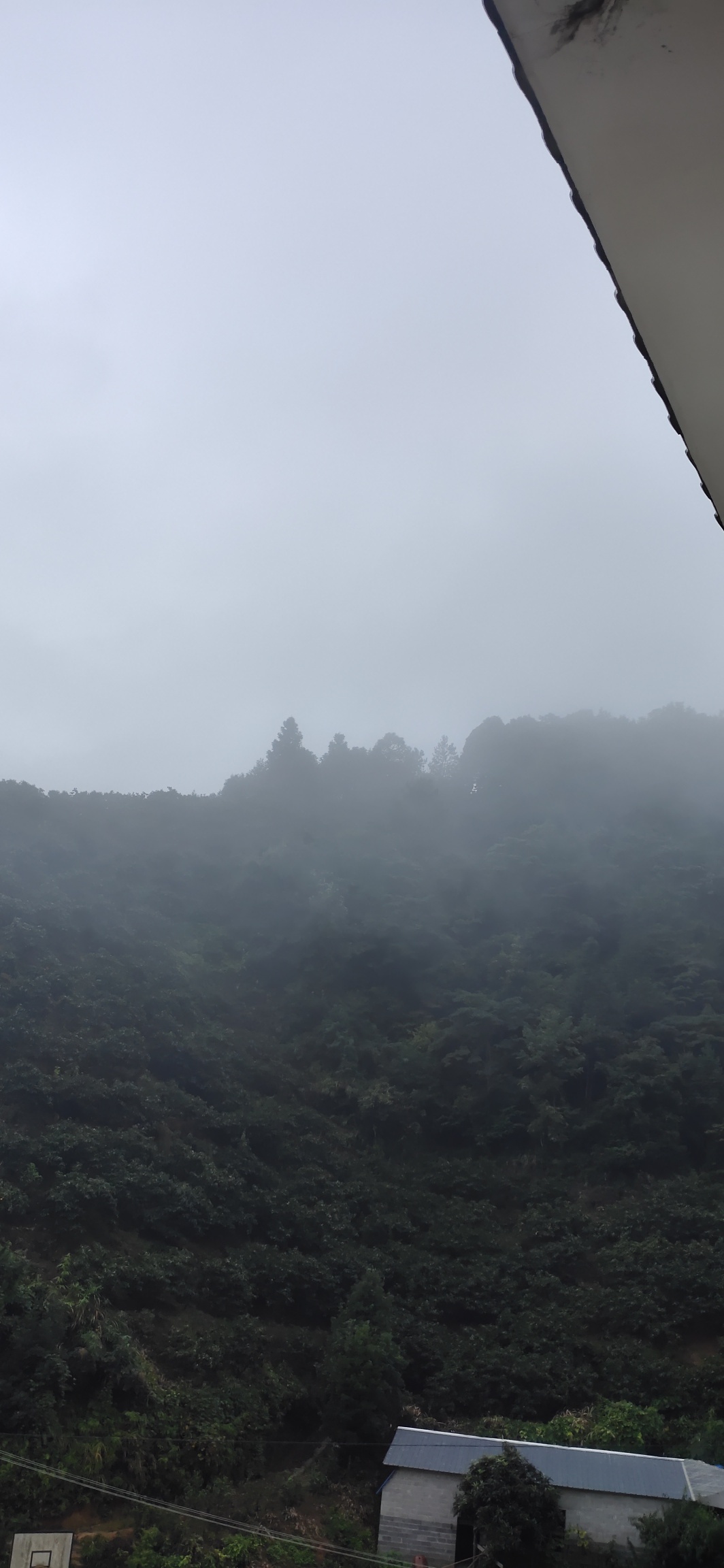 一场秋雨降温凉334 / 作者:瑤人老李 / 帖子ID:277156