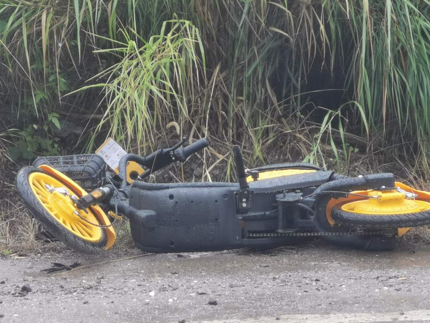 这种小黄车挨放在路上的有四辆，太缺德了570 / 作者:狭缝求生室 / 帖子ID:277446