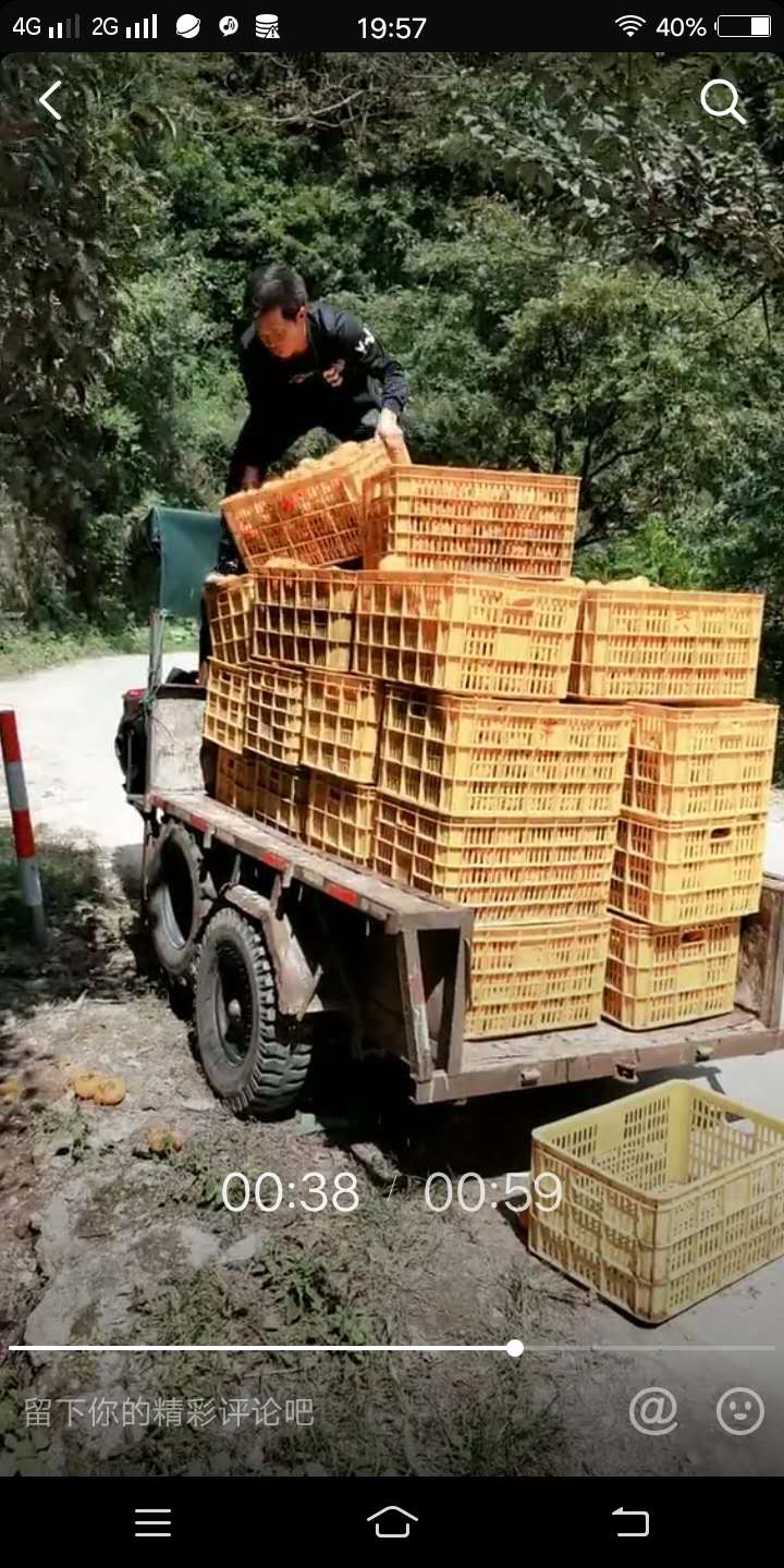 这个再不好卖也不应该往河里倒吧？101 / 作者:狭缝求生室 / 帖子ID:277899