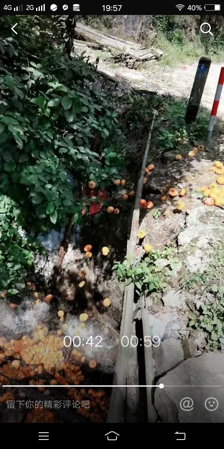 这个再不好卖也不应该往河里倒吧？698 / 作者:狭缝求生室 / 帖子ID:277899
