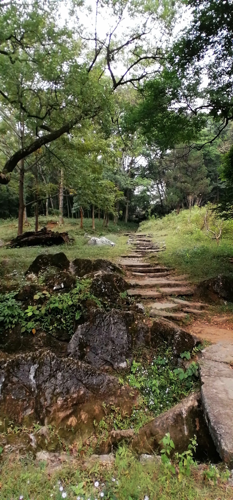 美丽乡村，风景如画。933 / 作者:悠闲 / 帖子ID:278180