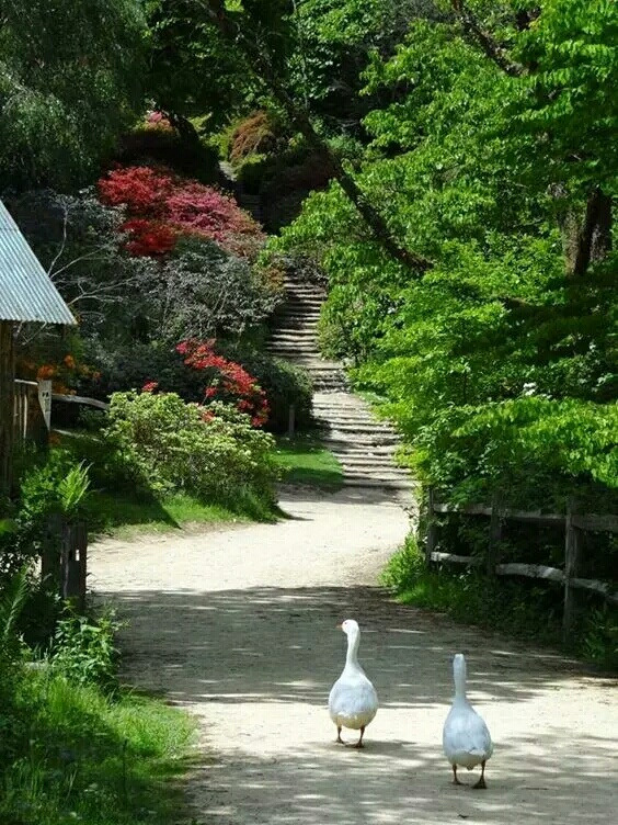 ——寻一村落，与你终老78 / 作者:力行者 / 帖子ID:278460