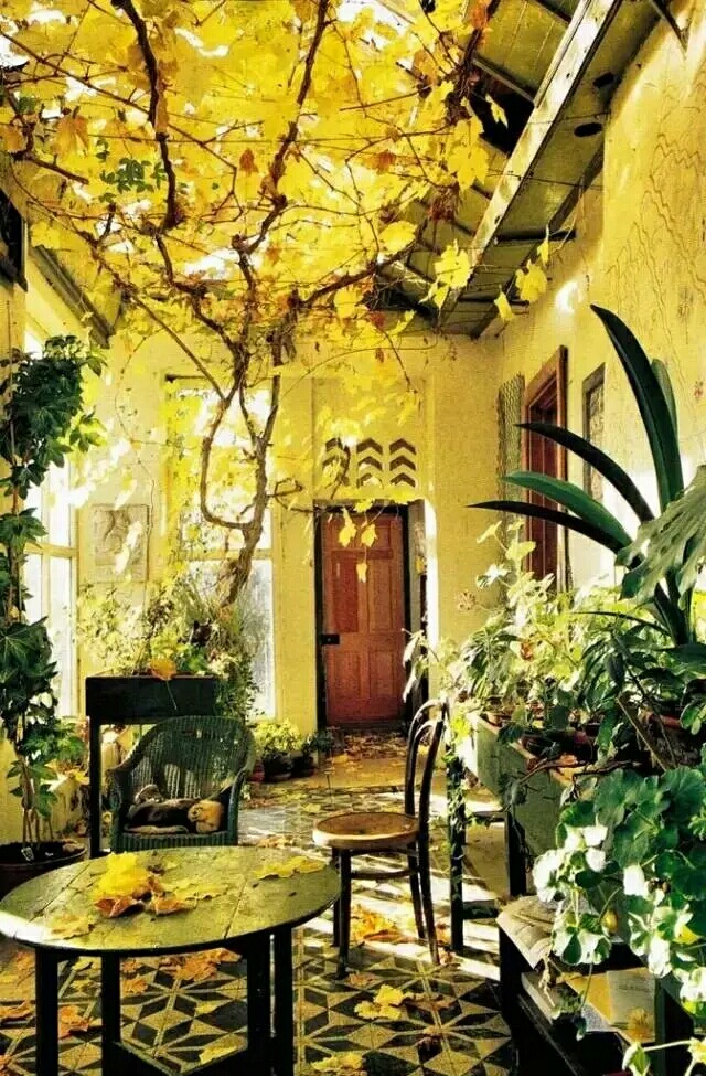 ——寻一村落，与你终老421 / 作者:力行者 / 帖子ID:278460