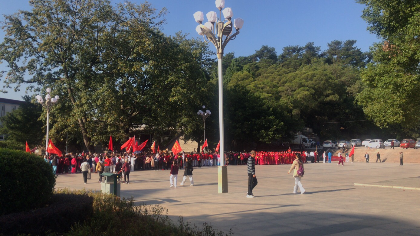 老年大学健步走366 / 作者:闲不住a / 帖子ID:279224