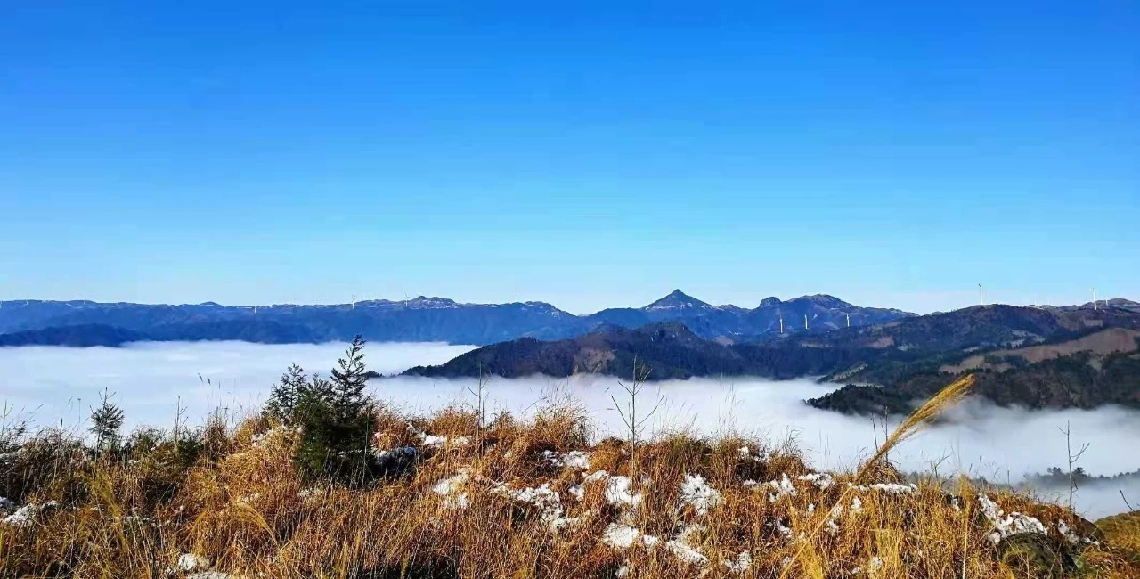 桂林下雪了，好美！910 / 作者:夏天78 / 帖子ID:280469