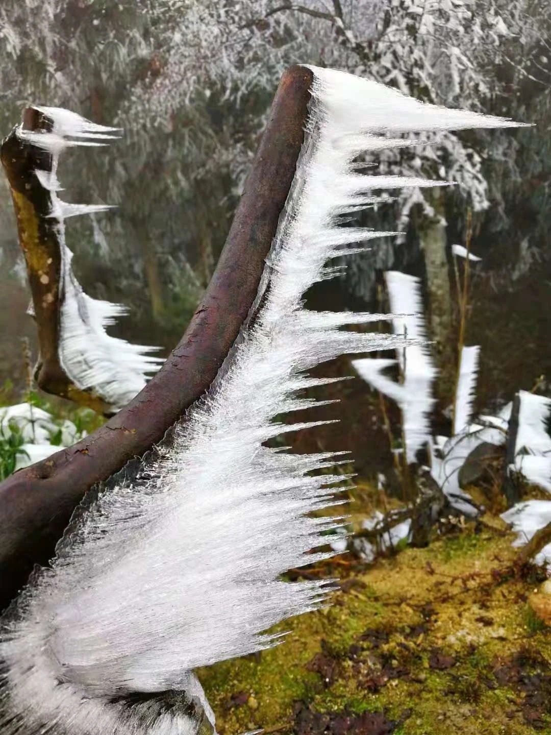 桂林下雪了，好美！219 / 作者:夏天78 / 帖子ID:280469