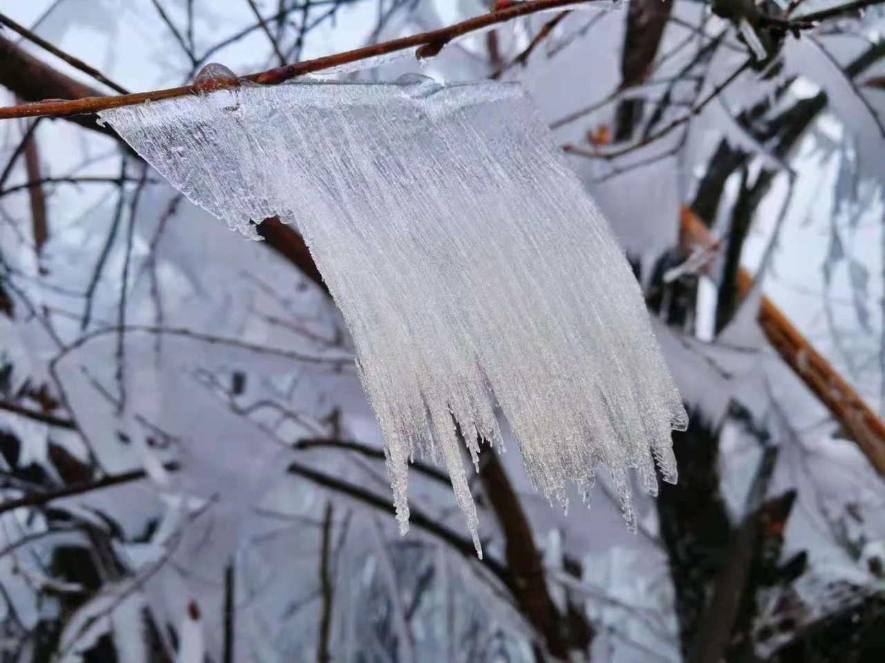桂林下雪了，好美！421 / 作者:夏天78 / 帖子ID:280469