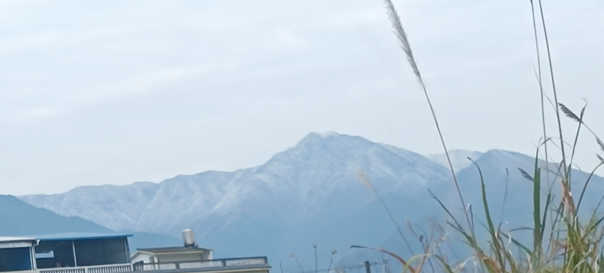 ——山本无忧，因寒白头157 / 作者:力行者 / 帖子ID:281209