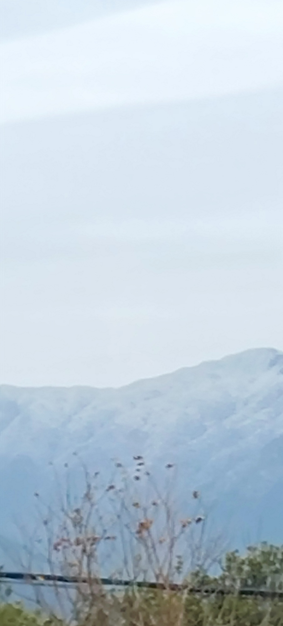 ——山本无忧，因寒白头404 / 作者:力行者 / 帖子ID:281209