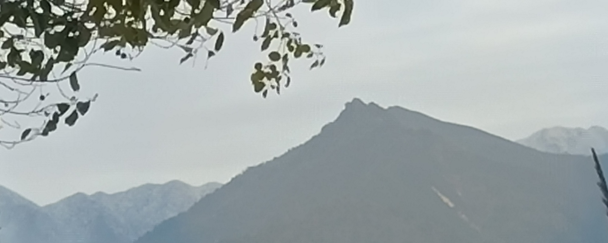 ——山本无忧，因寒白头934 / 作者:力行者 / 帖子ID:281209